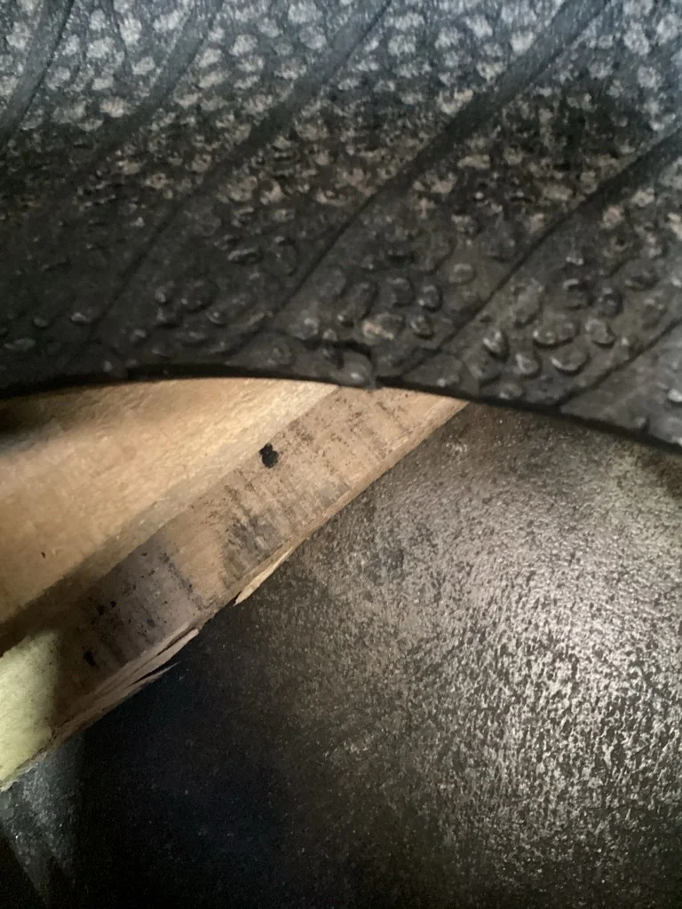 Take-Off 23X8.50-12SS 6PLY Carlisle Trac Chief TL R-4 95-100% (Slight cut in one of the beads)