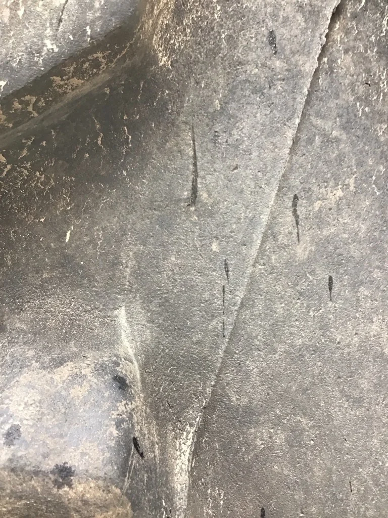 Used 710/70R42 168D Firestone Maxi Traction TL R-1W 85-90% On 23 x 42 (10-13.19-11.07) Dual Wheel image 5