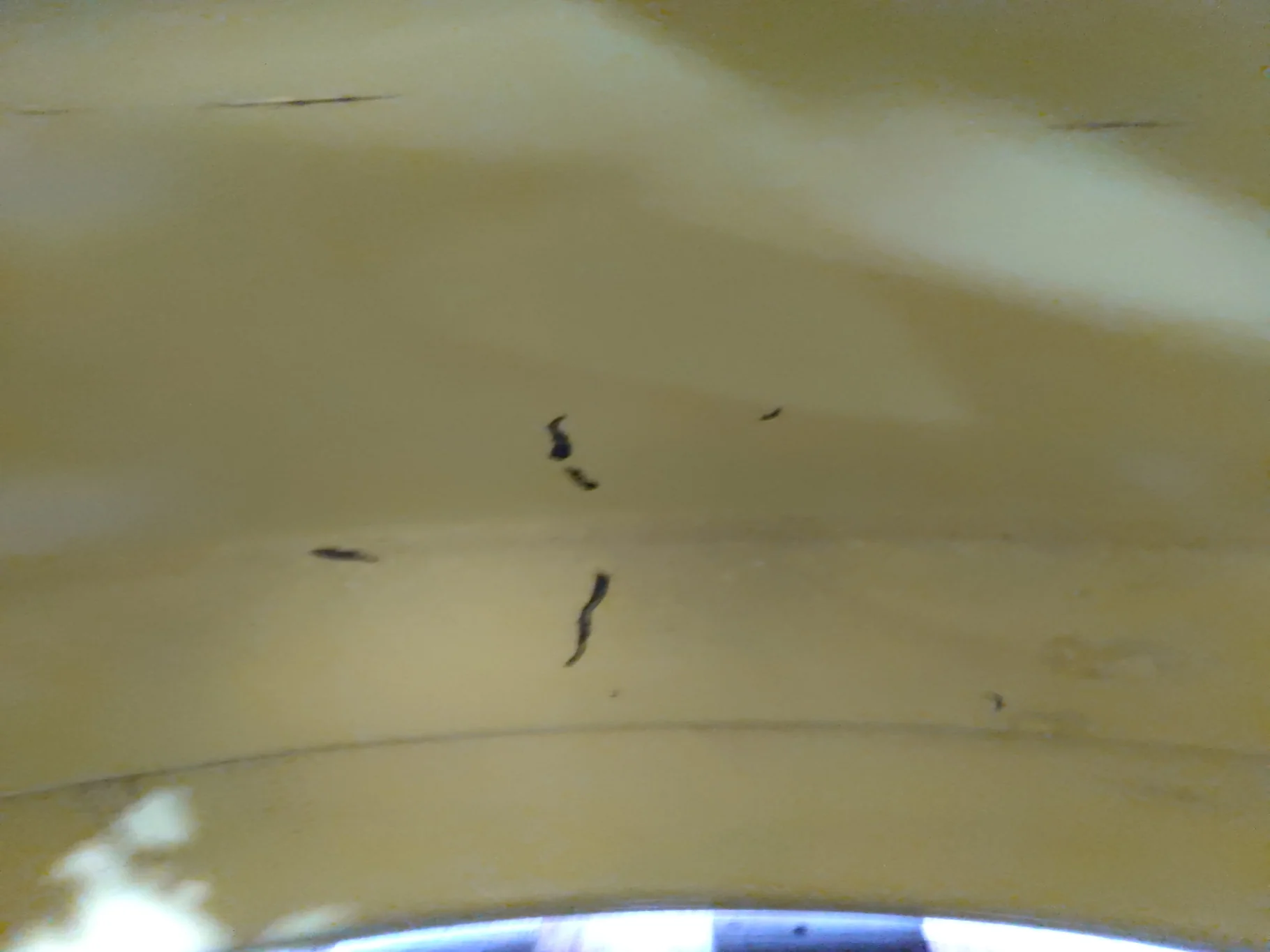 USED 16 x 42 10-13.187-11.07-14.4 (INSIDE) DOLLY DUAL YELLOW WHEEL image 7