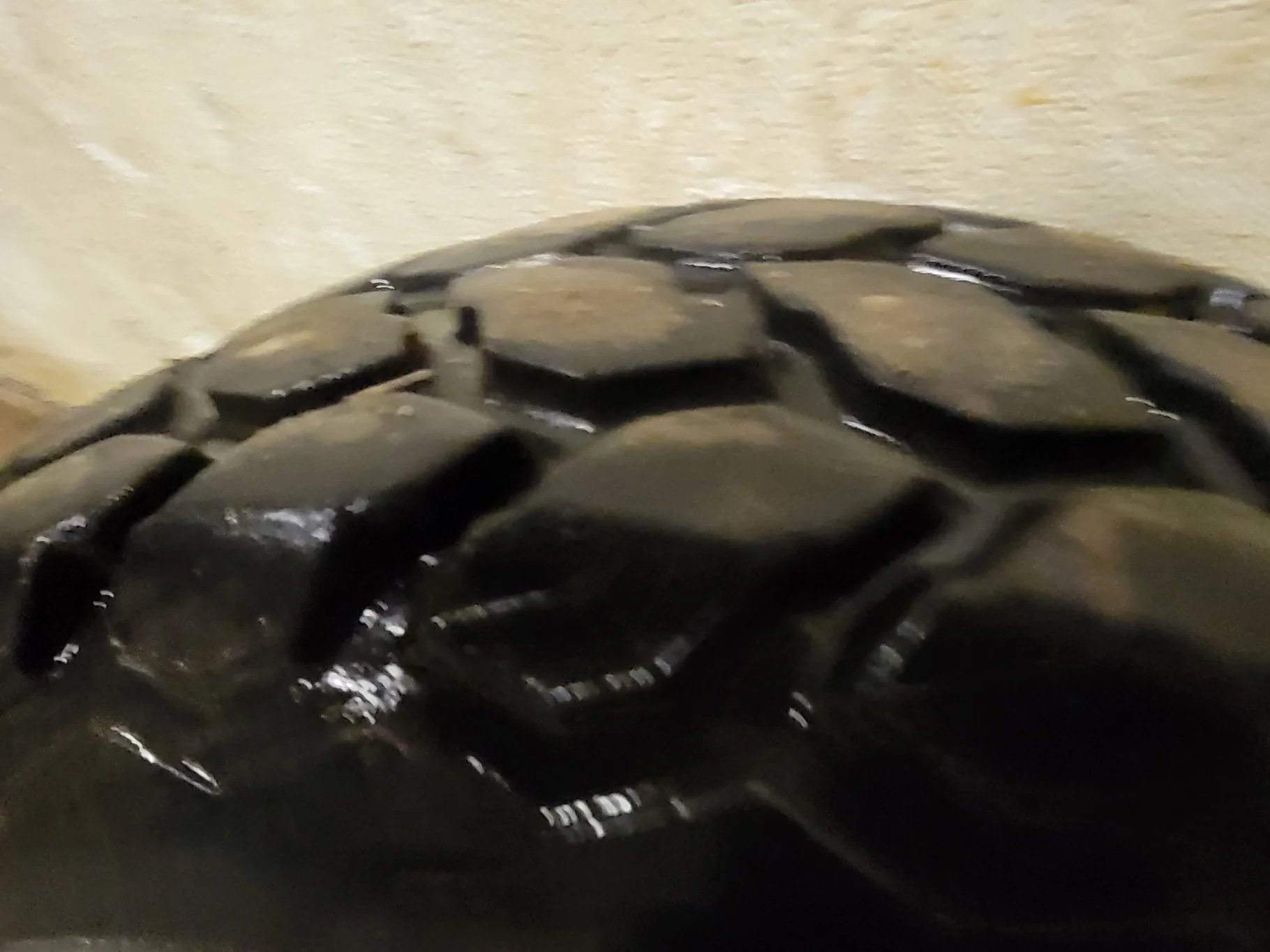Used 50% 9.5-16 Firestone Turf and Field R-3 C(6Ply) TL on a 8 x 16 JD Yellow 8 Bolt (.812) Wh image 3