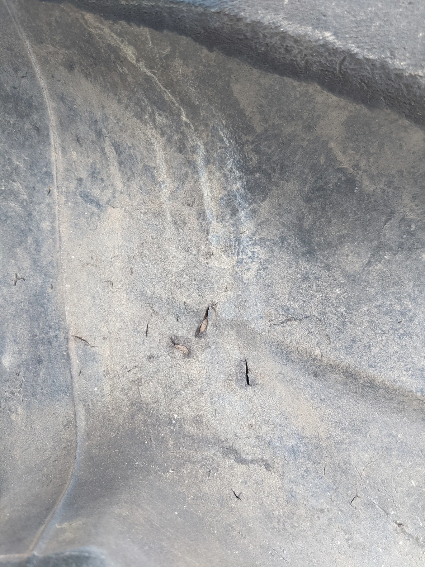 Used 95% IF580/85R42 CFO Firestone Radial Deep Tread 23 R-1W (178B) TL (Road wear. Small cuts in lu image 6