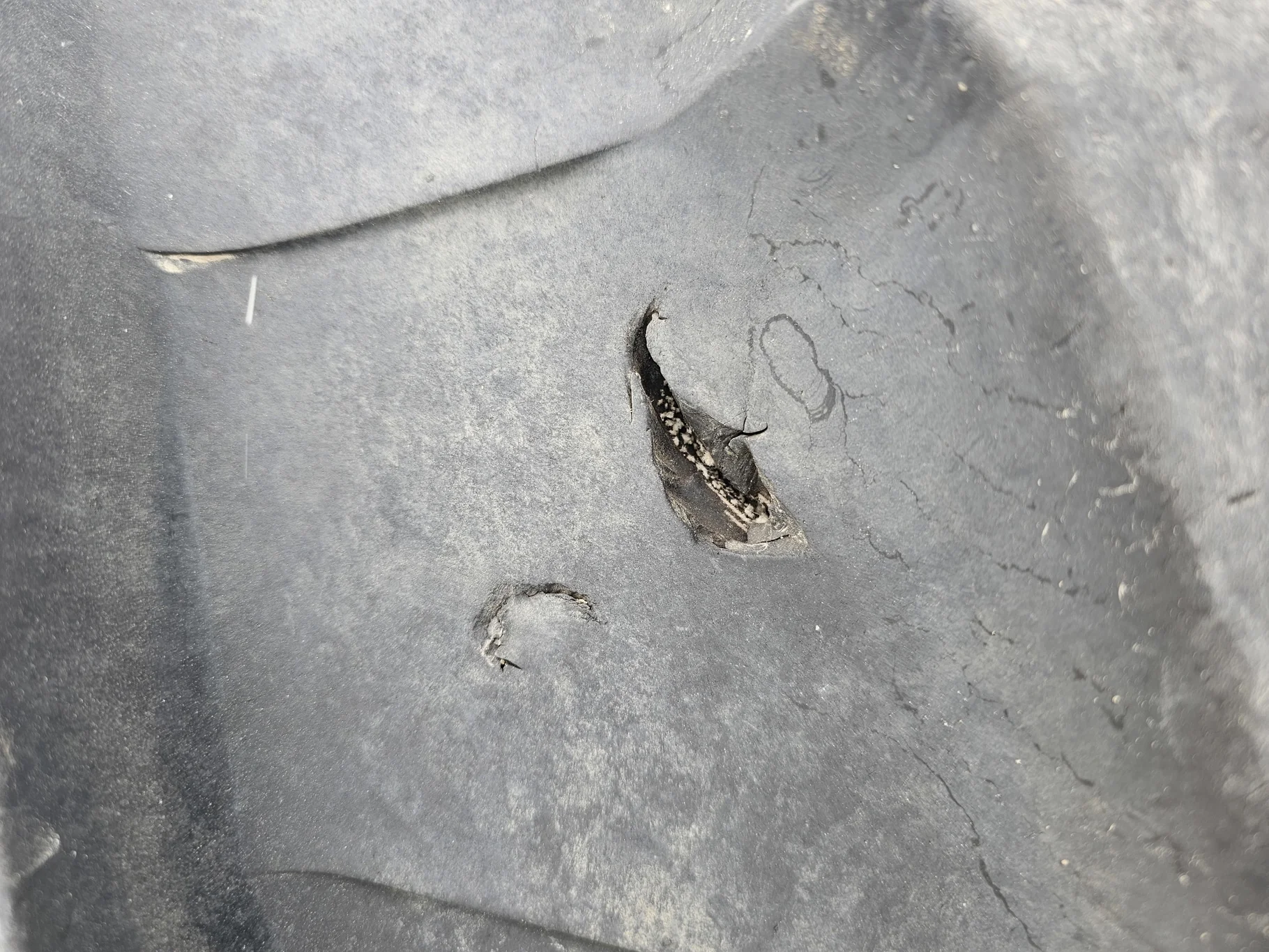 Used 90% 540/65R30 Trelleborg TM800 High Speed R-1W (150D) TL on a 16 x 30 Fendt Red 10 Bolt Formed image 6