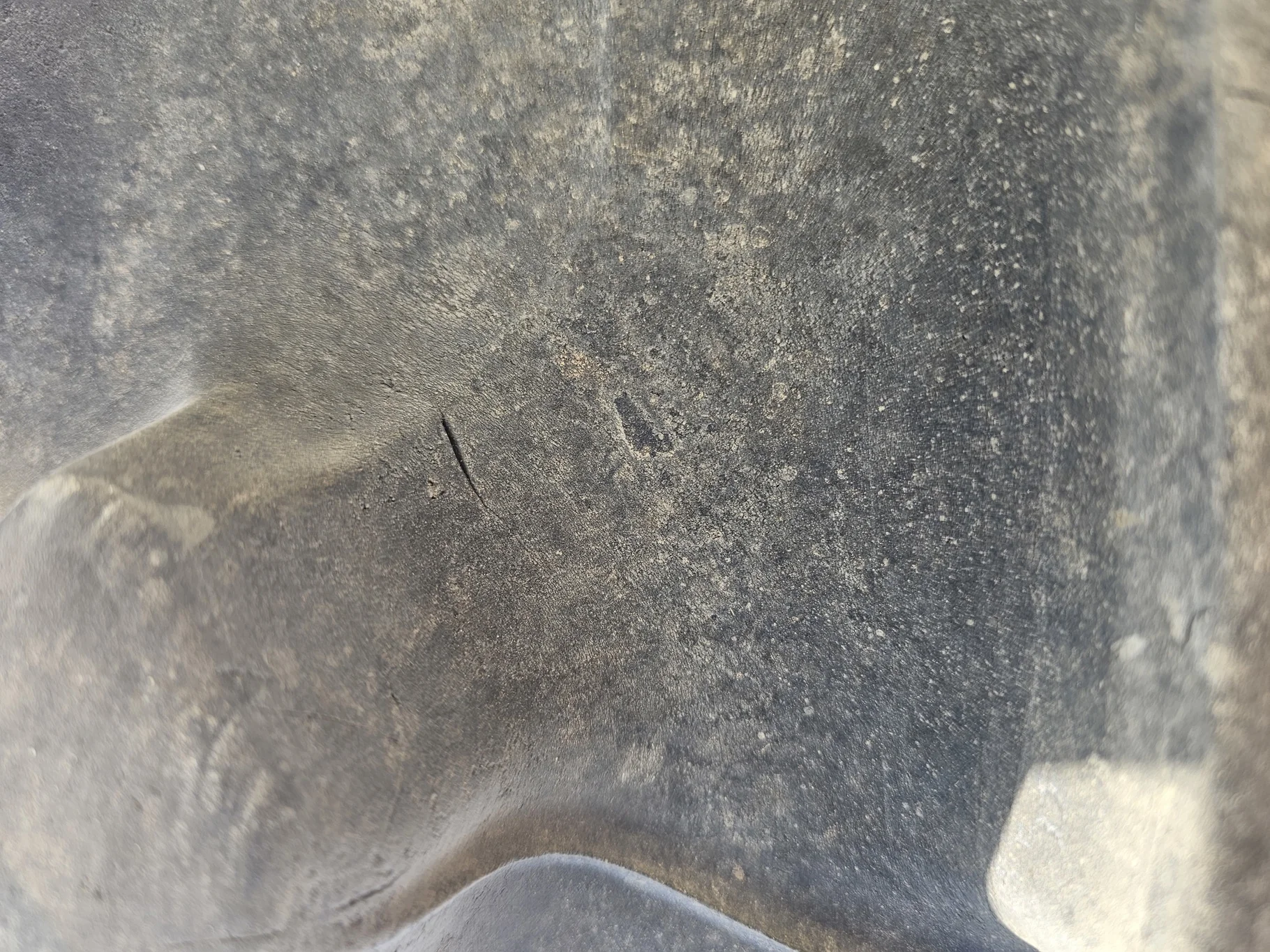 Used 75% 480/80R50 Firestone Radial Deep Tread 23 R-1W 159B TL on 15 x 50 John Deere Yellow 12 Bolt image 5