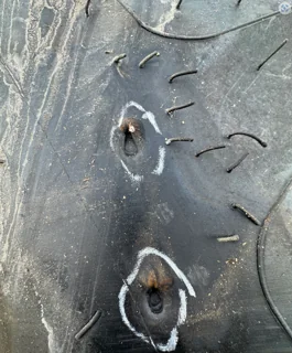 Take Off LSW650/70R46 Goodyear Optitrac (181D) TL mounted JD Yellow (12-15.748) 600 Series Sprayer image 4