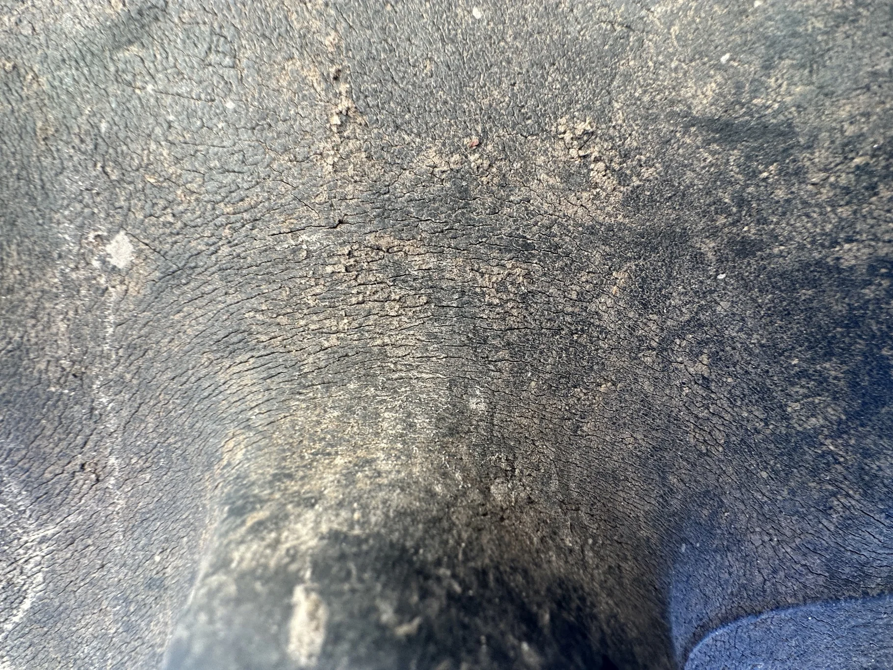 Used 73% 520/85R42 Firestone Radial All Traction 23 R-1W 157B TL on 18 x 42 Case IH Silver 20 Bol image 5