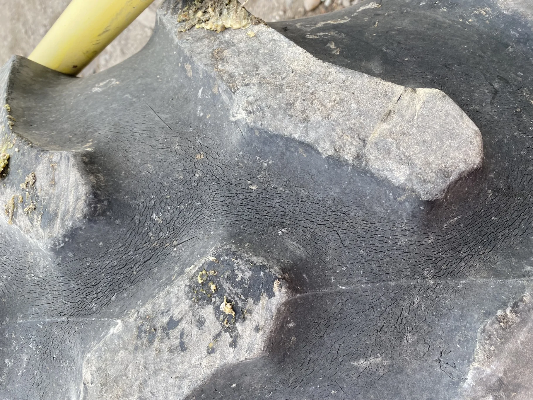 Used 36% 420/90R30 Goodyear Ultra Torque Radial DT 712 (142A8/B) R-1 TL on a 15 x 30 JD Yellow image 6