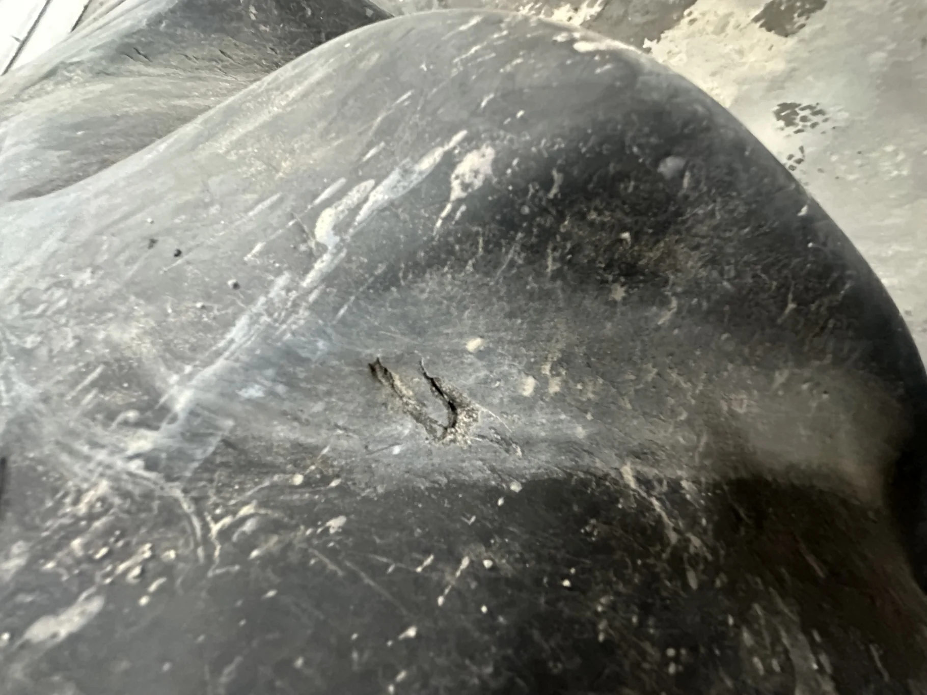 Used 78% 900/60R32 Firestone Radial All Traction 23 R-1 176B TL on 30 x 32 Case Silver Plate W image 9