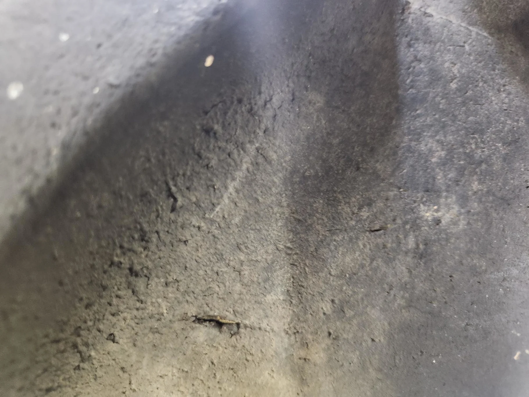 Used 14.9R46 Firestone Radial All Traction 23 TL 80% image 4