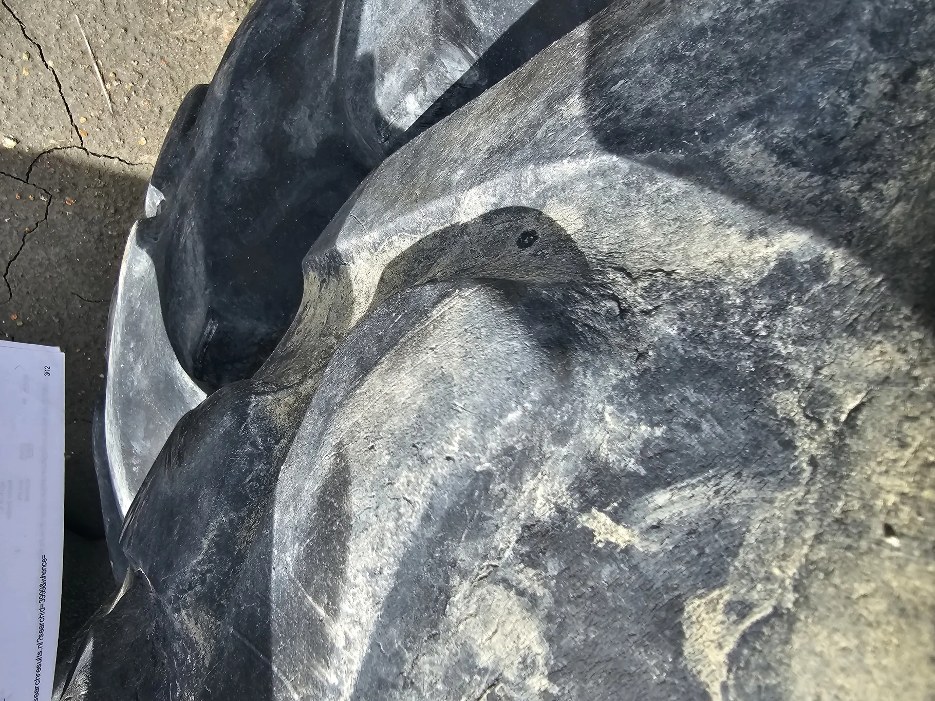 Used 30% 320/85R34 Firestone Radial 9000 R-1W (133B) image 5