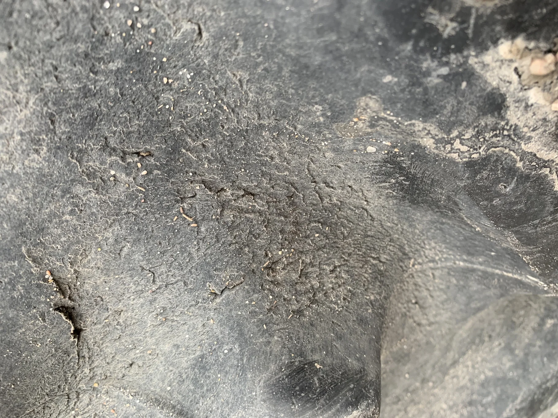 Used 65% 420/85R34 Goodyear Super Traction Radial  _x000D_
(Stubble, Weathering Between Lugs, Damage image 5