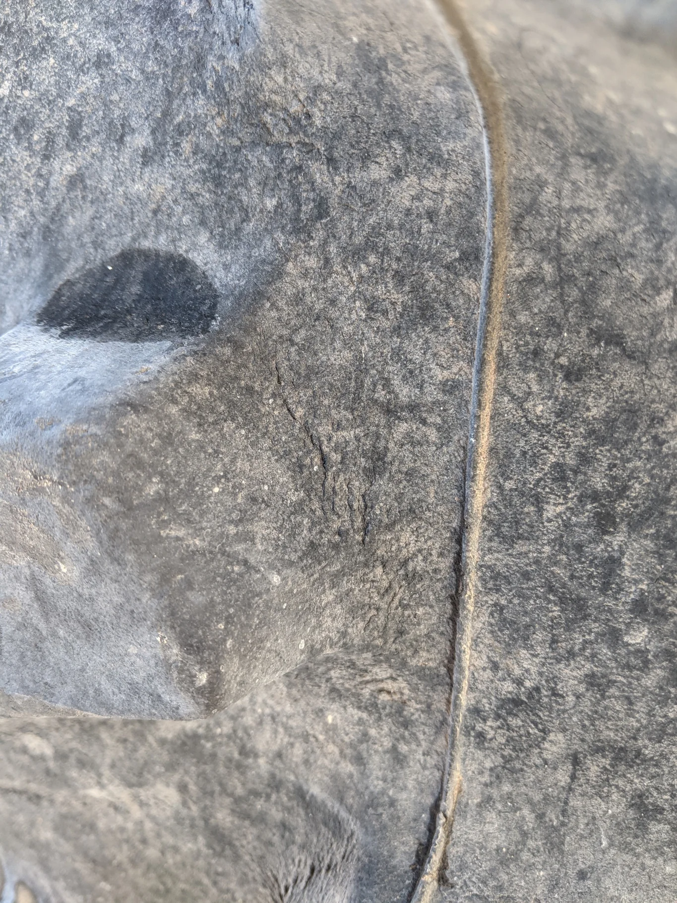 Used 90% 650/85R38 Firestone Deep Tread 23 R-1W (173A8) TL (stubble) image 6