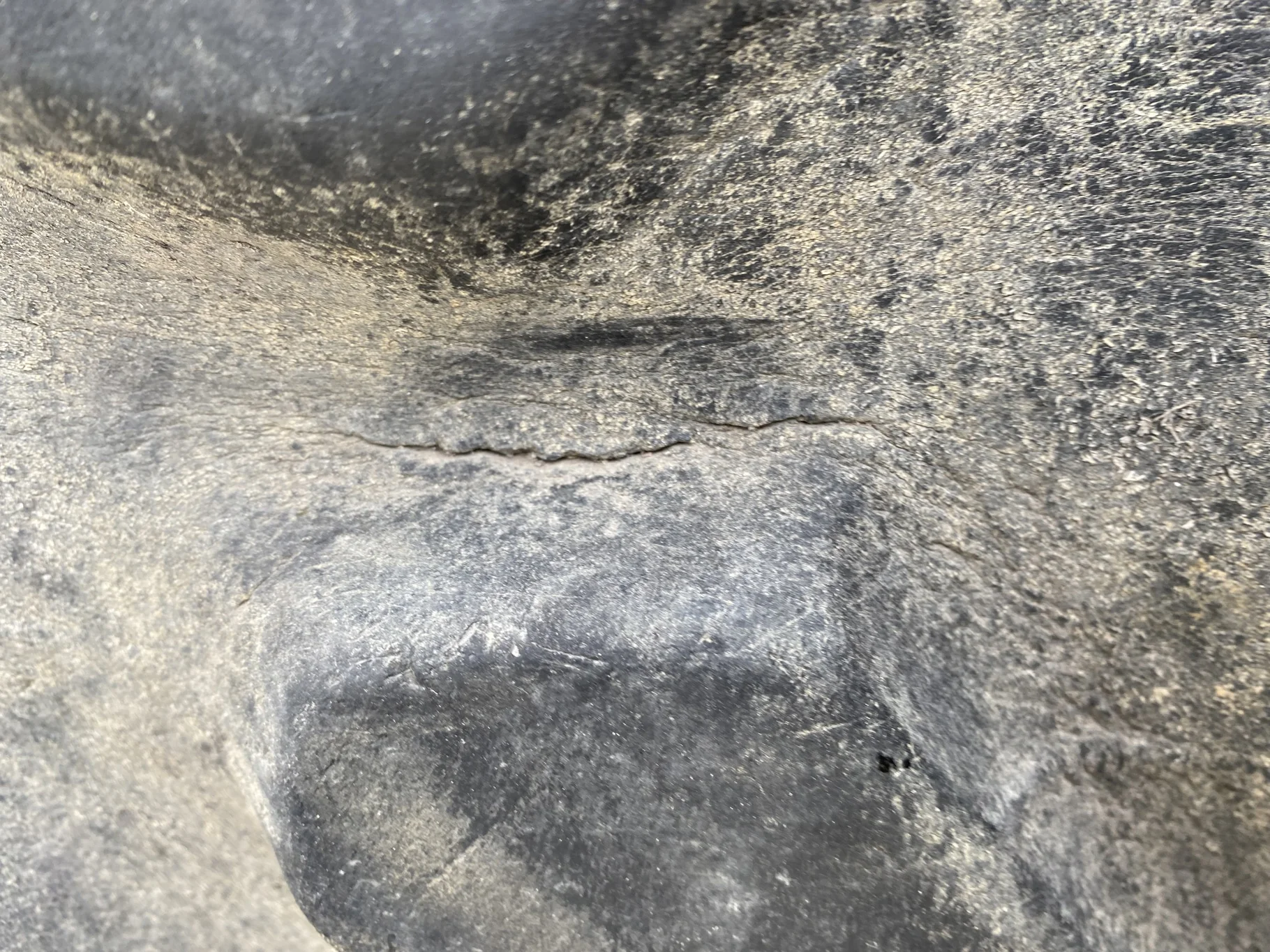 Used 50% 18.4R46 Goodyear Dyna Torque Radial (155A8/B) R-1 TL  _x000D_
(Sidewall Cuts, Weathering, S image 5