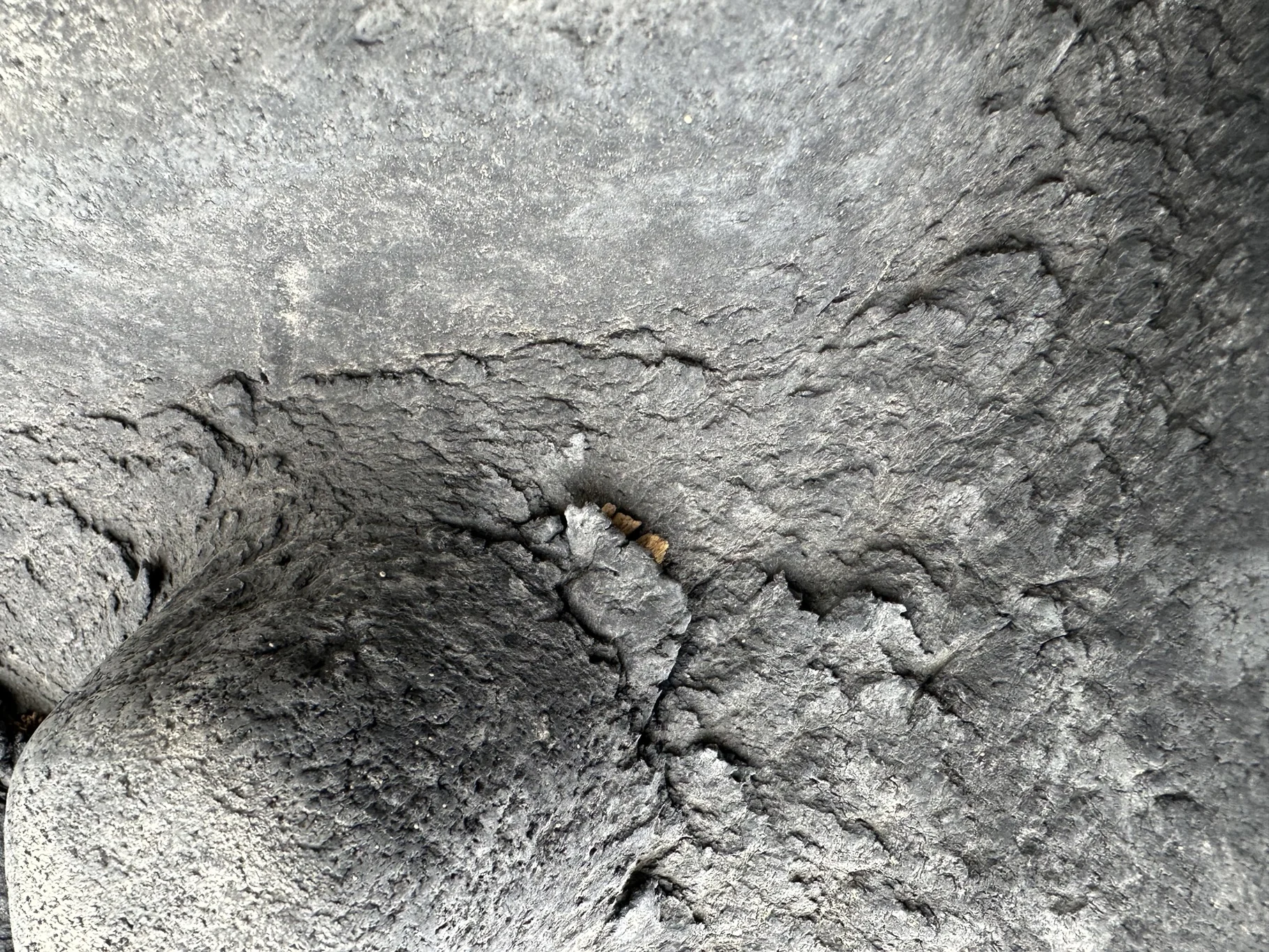 Used 80% 420/85R34 Firestone Radial All Traction DT R-1W (147B) TL (Bead Damage, Stubble, Lug Stub image 5