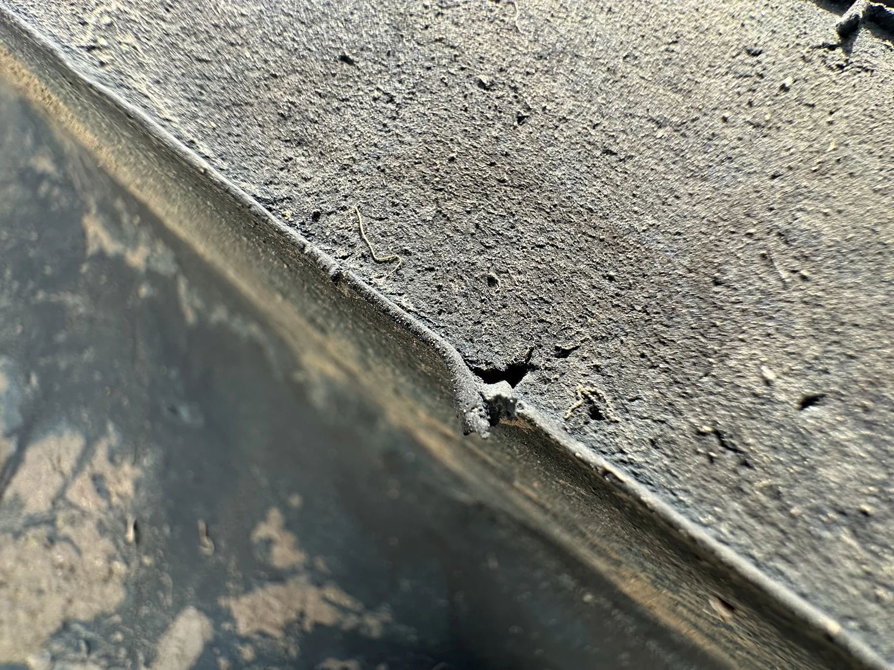 Used 97% 710/70R42 Firestone Maxi Traction R-1W 168D (Lug Cuts, Road Wear, Lug Stubble) image 6