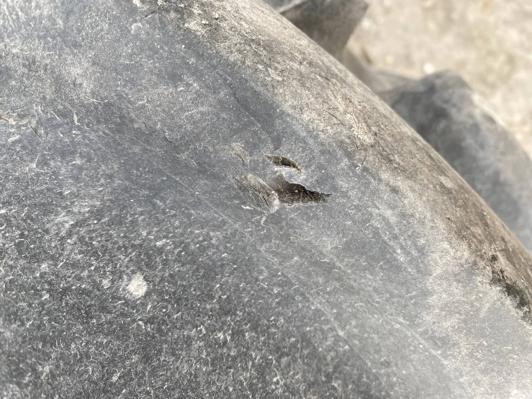 Used 82% 460/85R42 Firestone Performer 85 150D TL (heavy lug cuts / chunks between tread) image 4