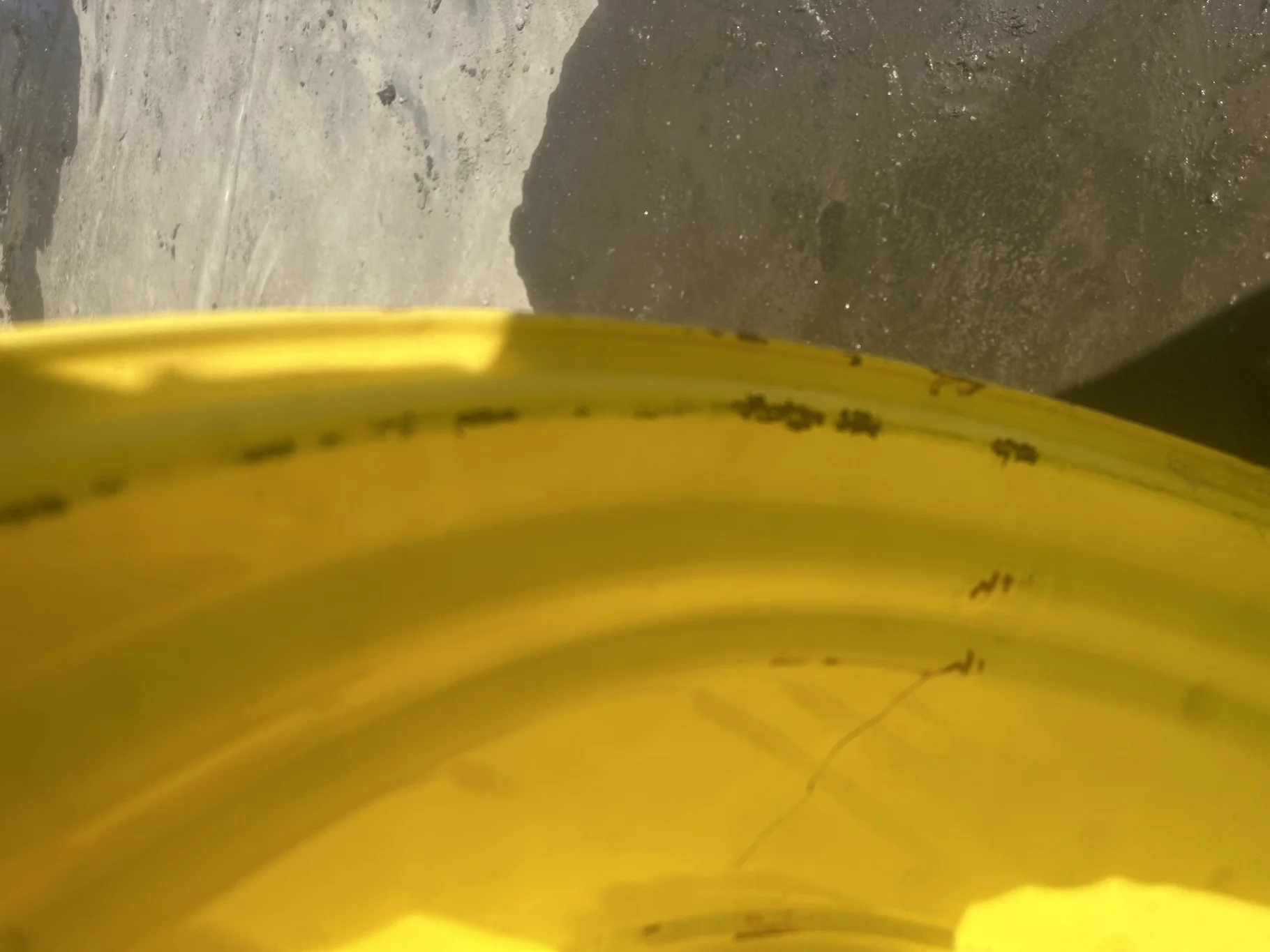Used 25 X 46 John Deere Yellow 12 Bolt (.906) Sprayer Stub Disc (12-32.047-30.078) image 3