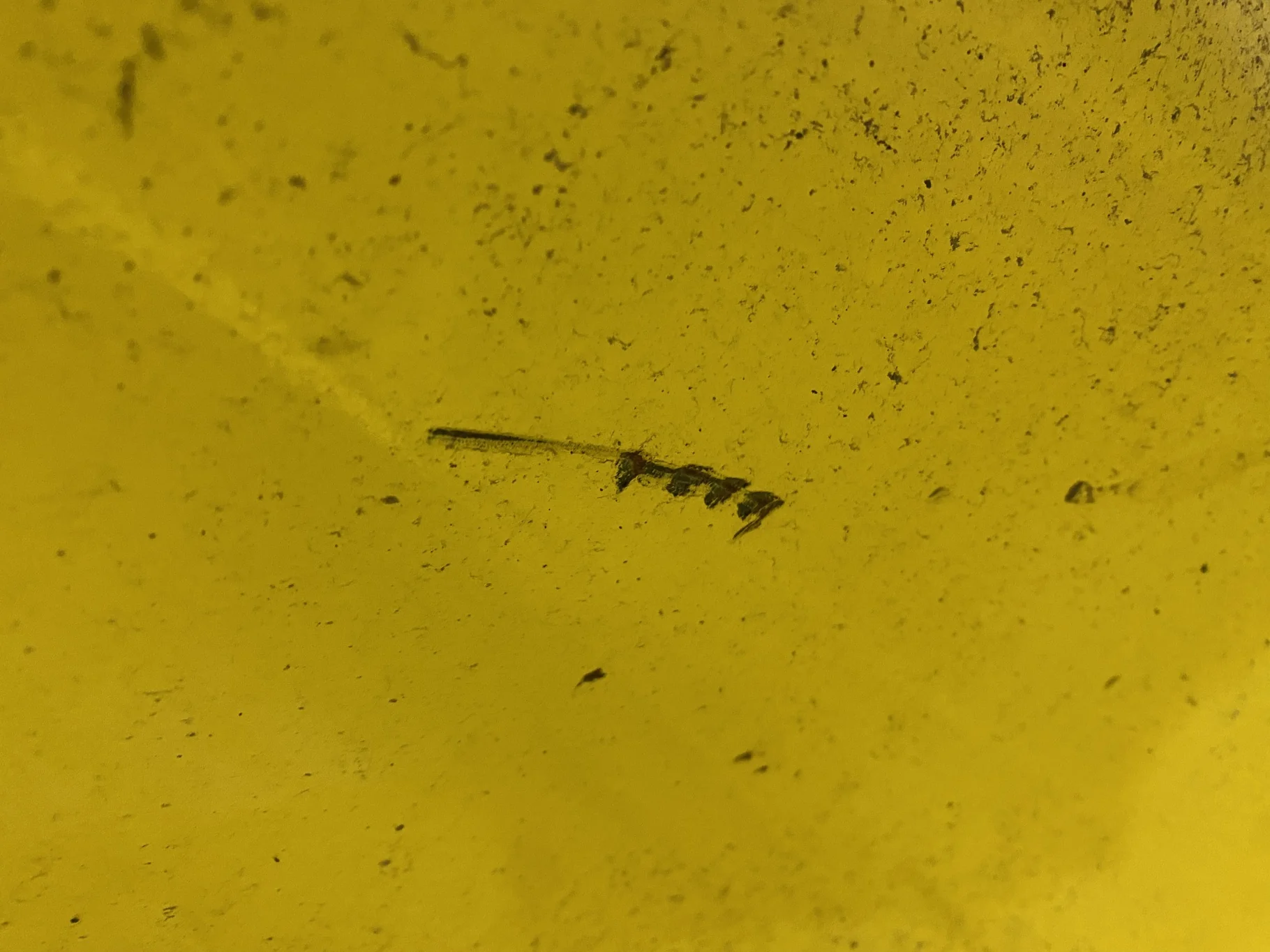 Used 23 X 42 John Deere Yellow 12 Bolt Sprayer Stub Disc (12-32.047-30.078) - Good Condition image 8